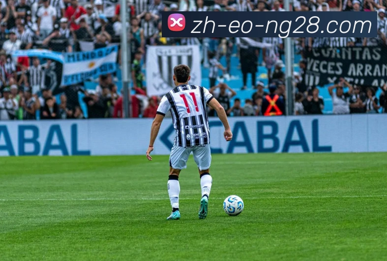 南宫NG28官网APP 体育赛事宣传图